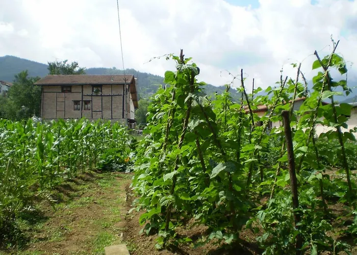 Фермерский дом Ondarre